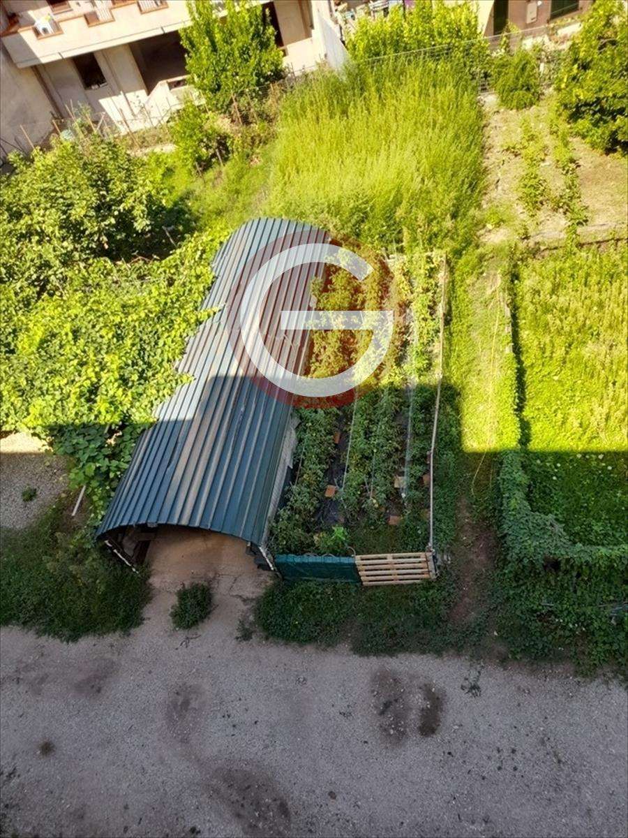  - foto 15