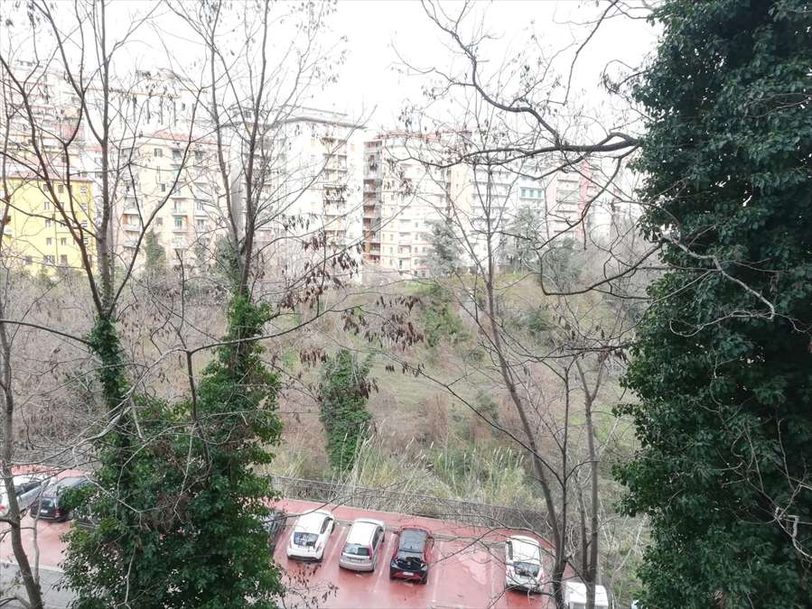  - foto 18
