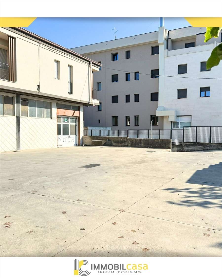  - foto 6