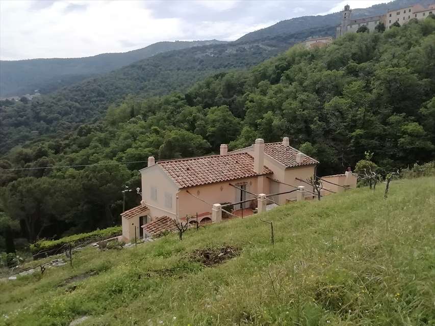  - foto 4