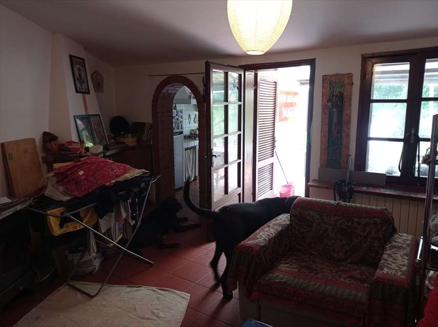  - foto 7