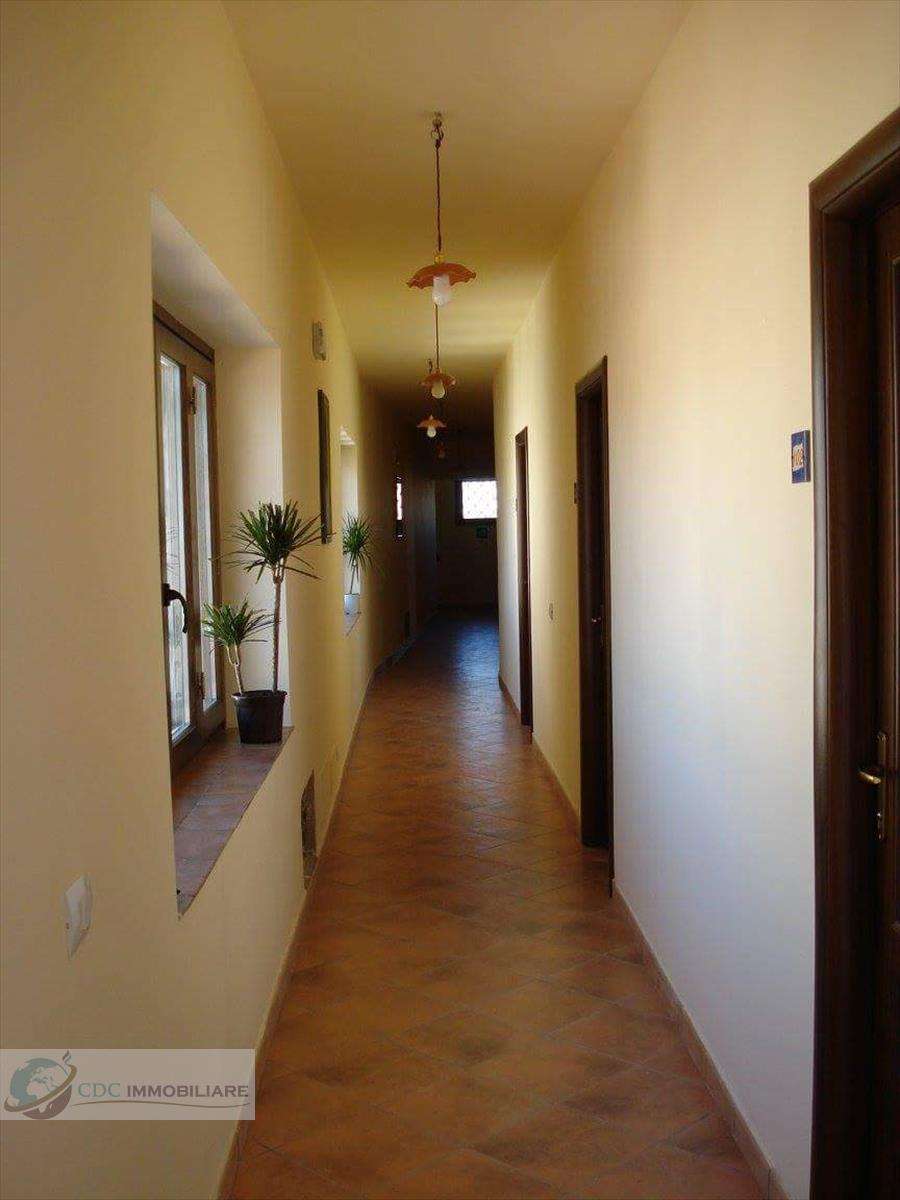  - foto 11
