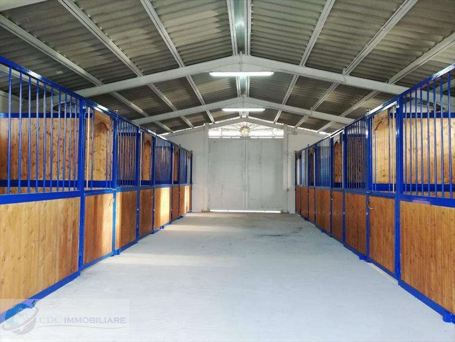  - foto 15