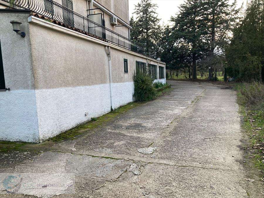  - foto 10
