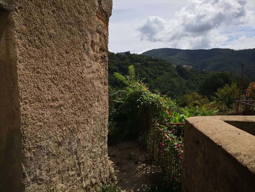  - foto 14