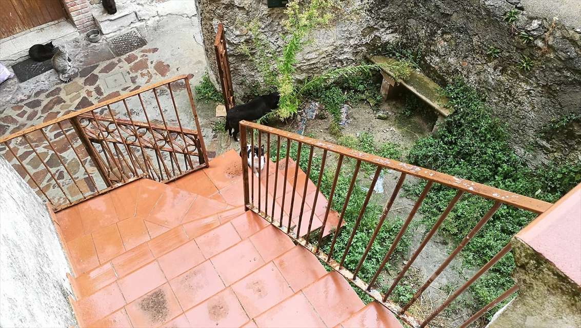  - foto 2