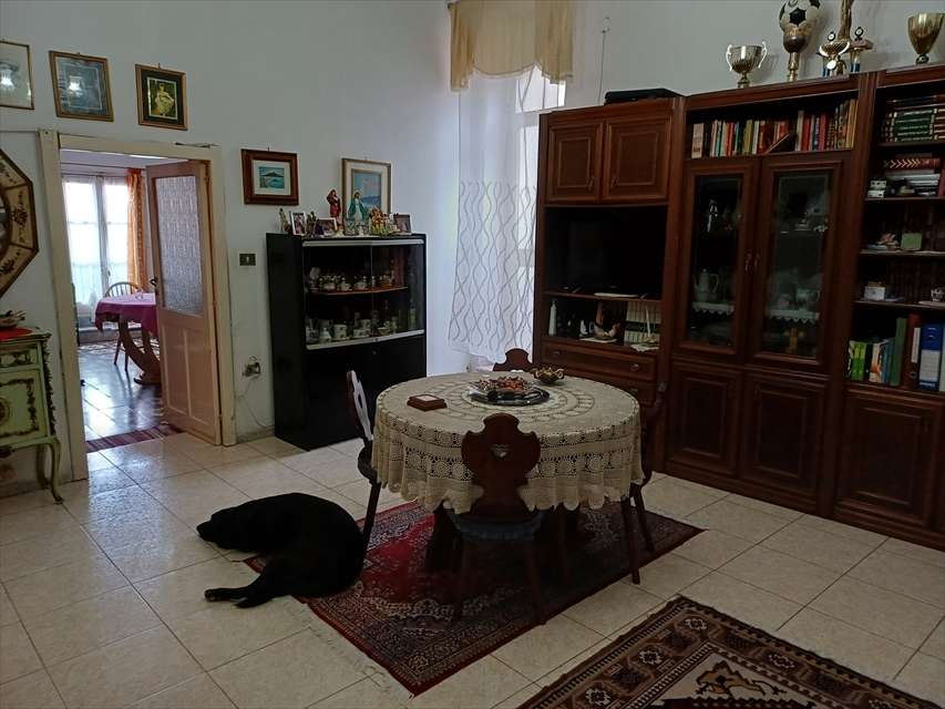  - foto 13