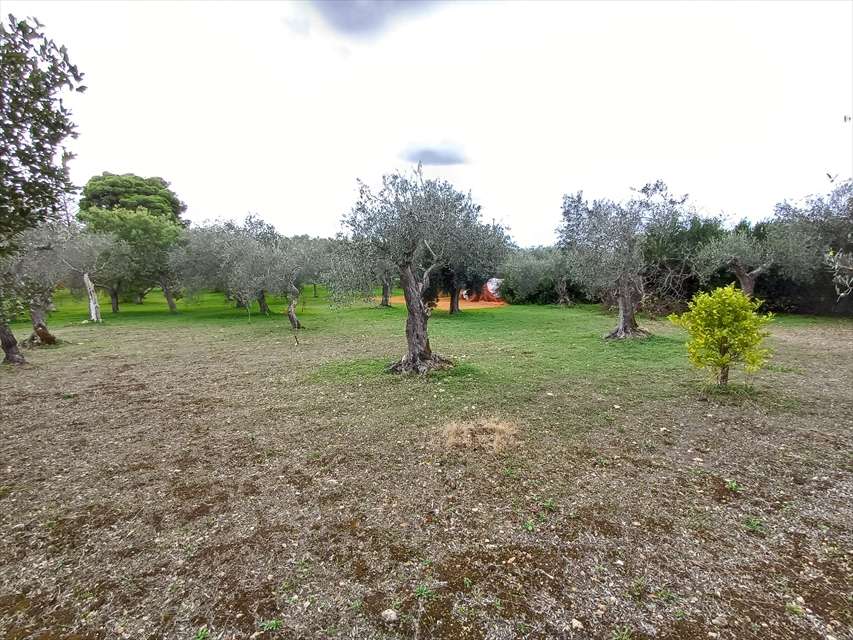  - foto 19
