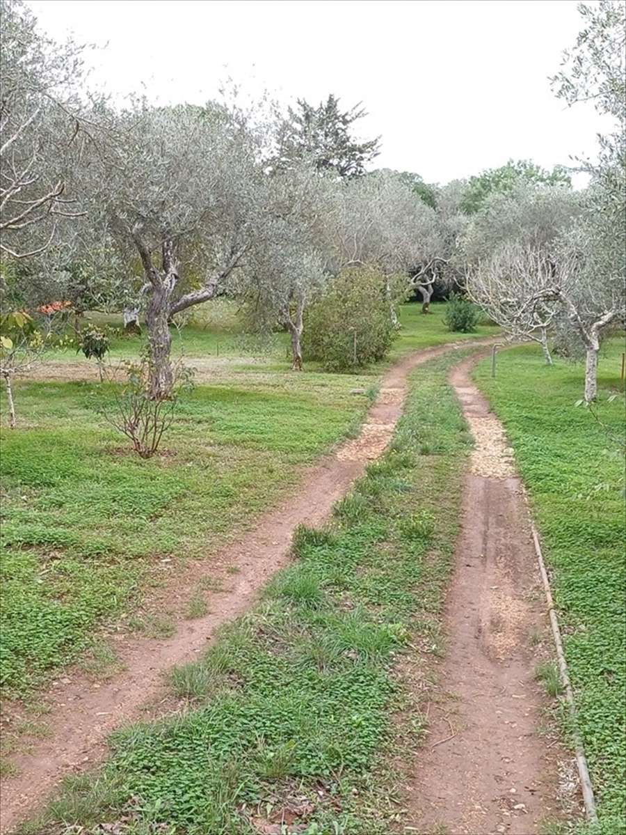  - foto 8