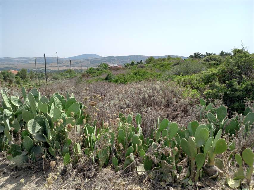  - foto 11