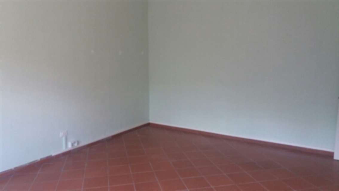  - foto 17