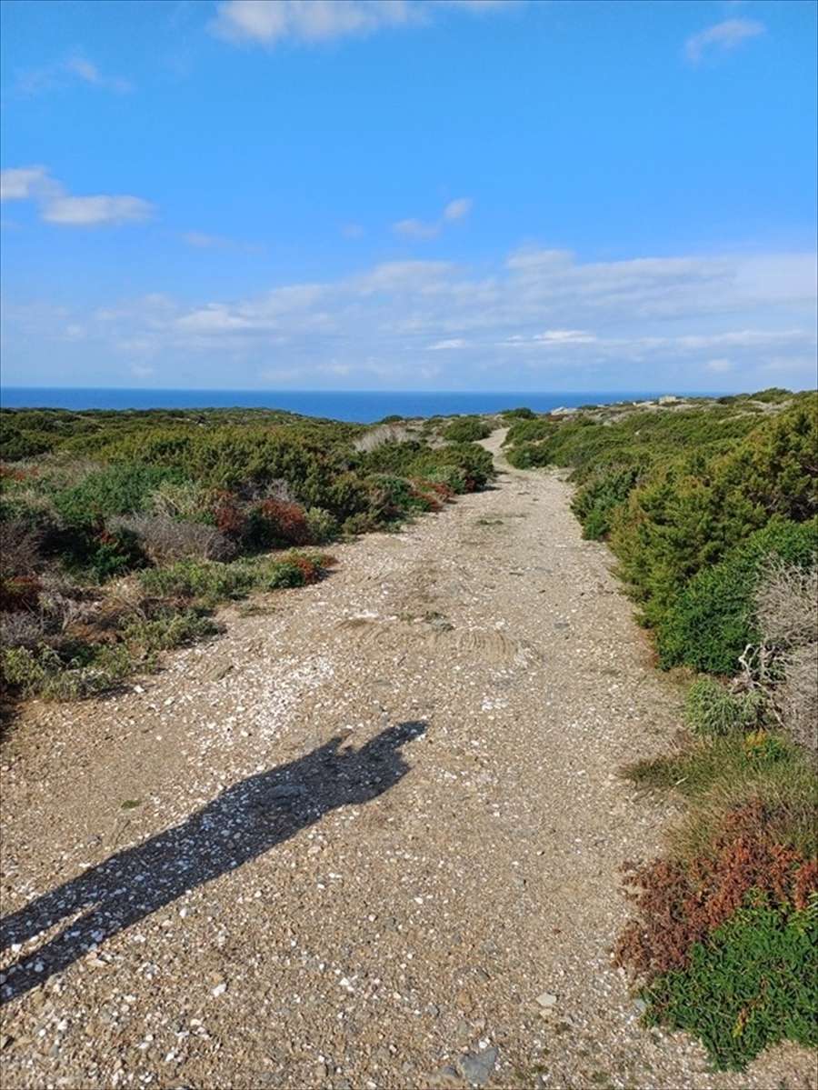 Terreno agricolo Cala Scoglietti "Tanca di Li Baddi", Stintino