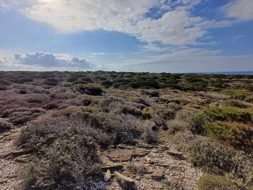  - foto 16