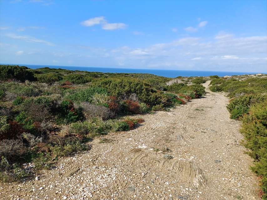 Terreno agricolo Località Tanca di Li Baddi, Stintino