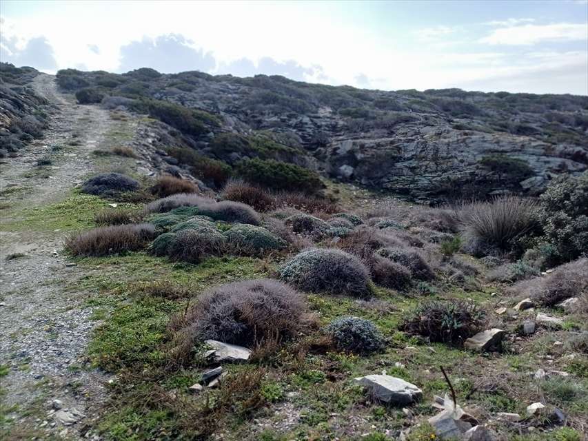  - foto 11