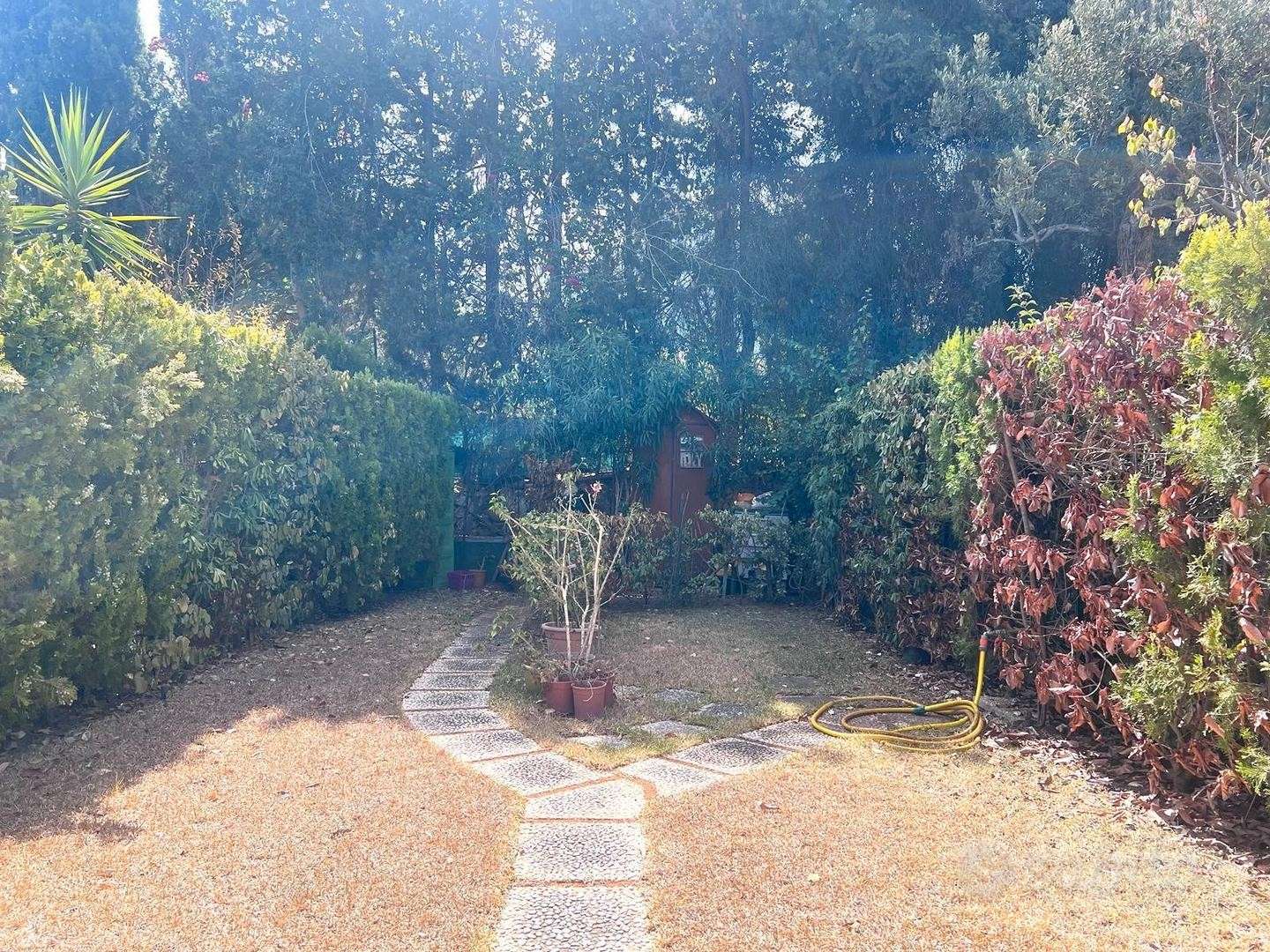  - foto 8