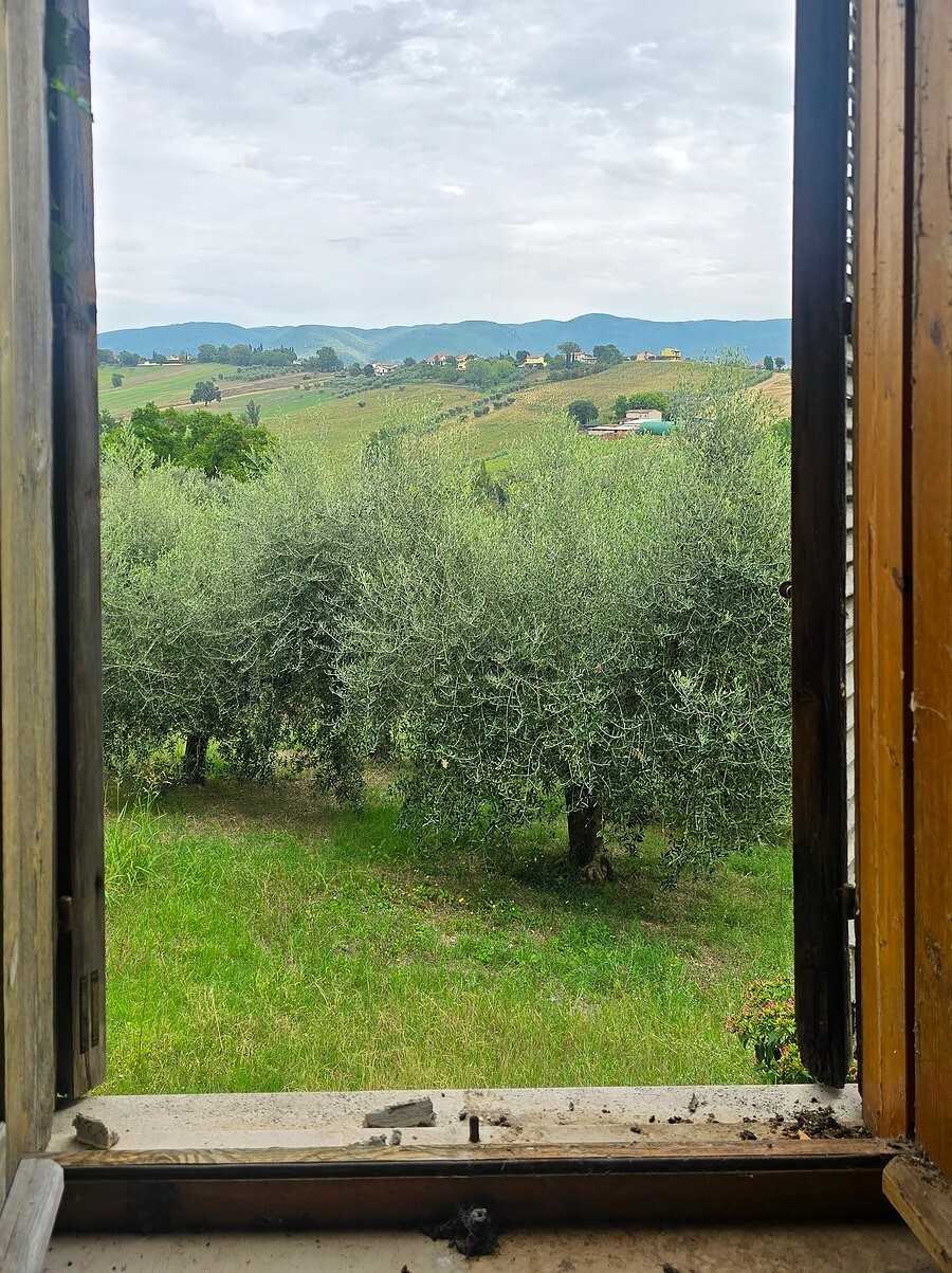 - foto 11