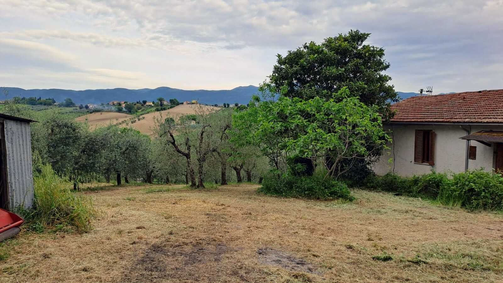  - foto 12