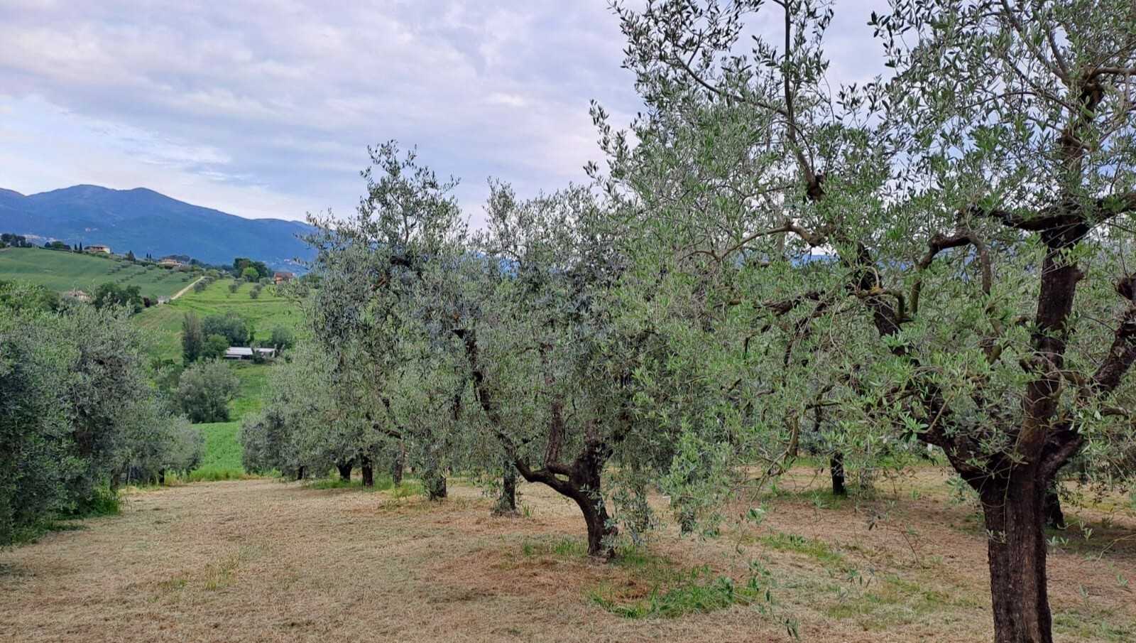  - foto 16