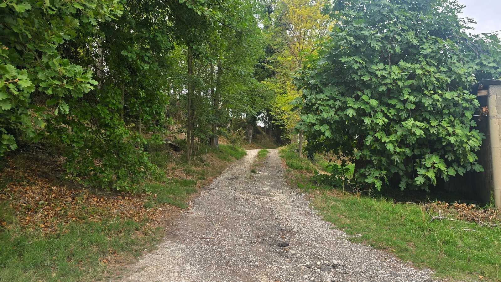  - foto 17