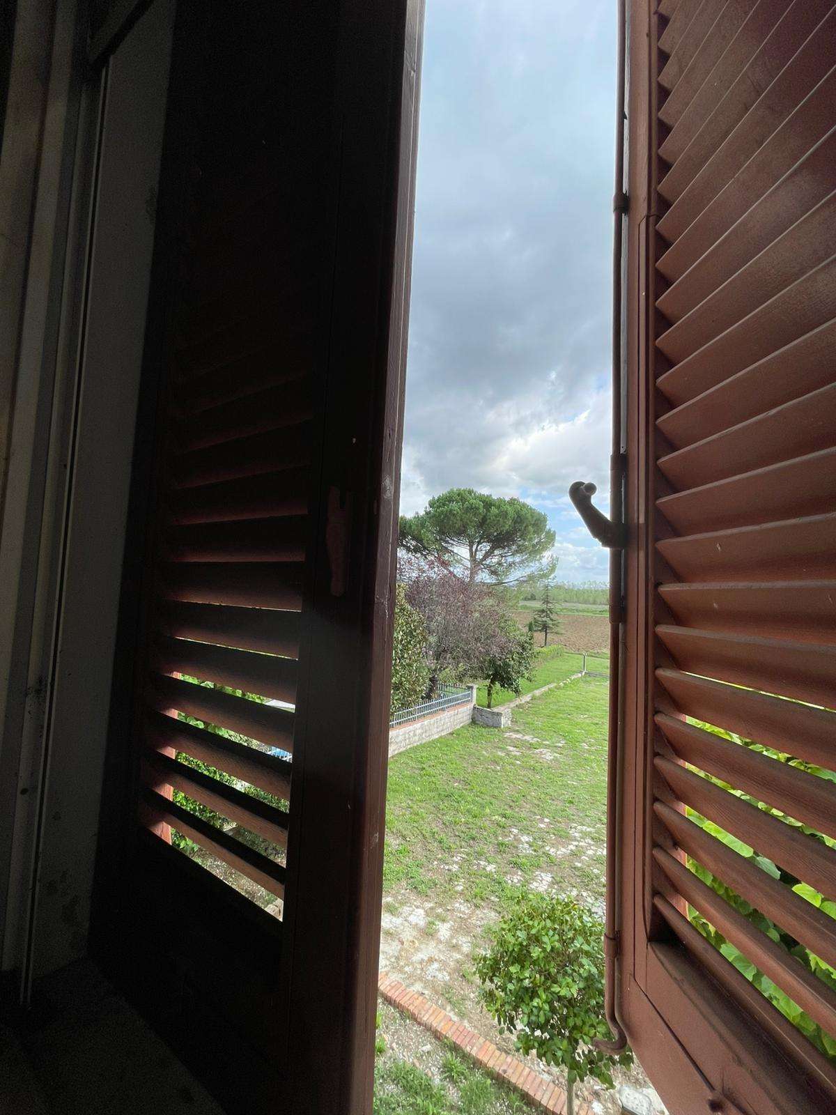  - foto 4