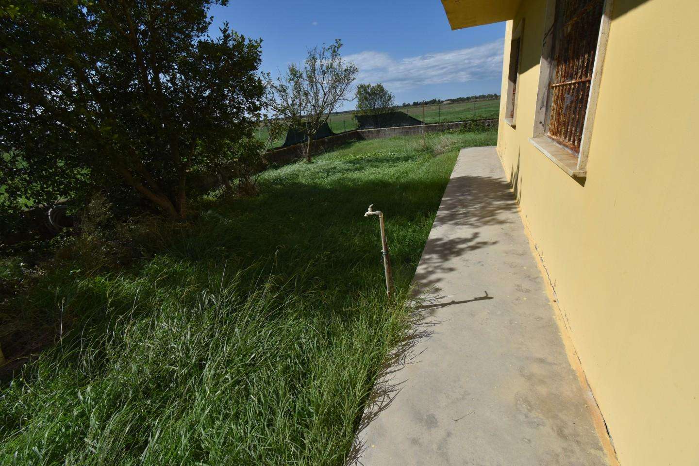  - foto 37