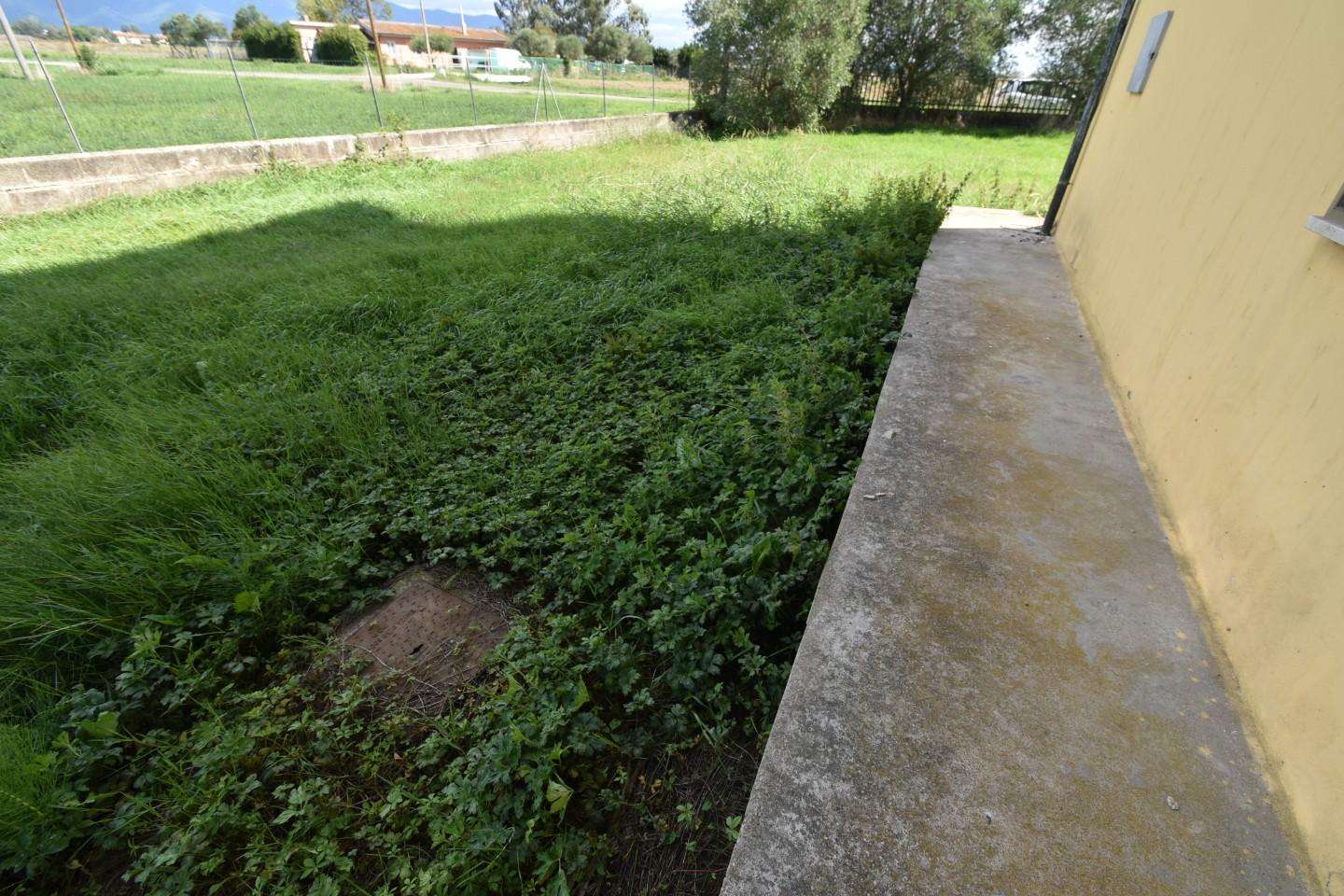  - foto 42
