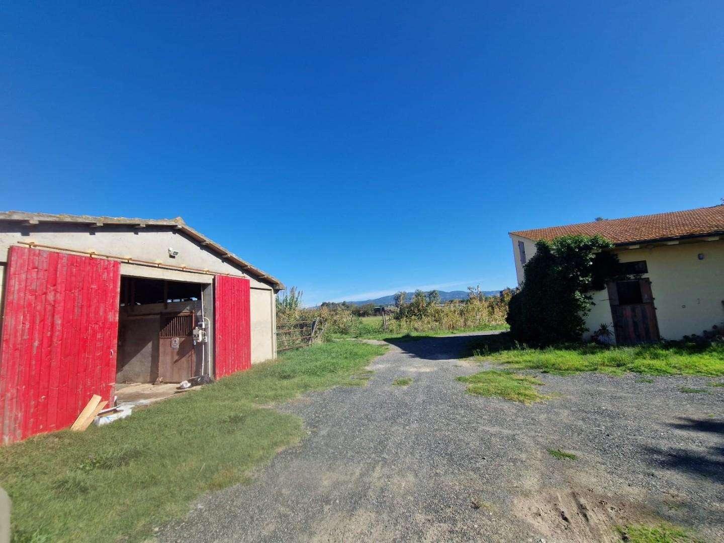  - foto 5