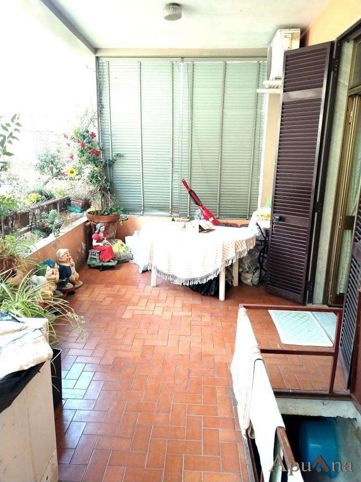  - foto 13