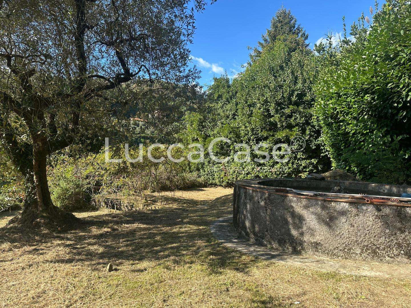  - foto 36