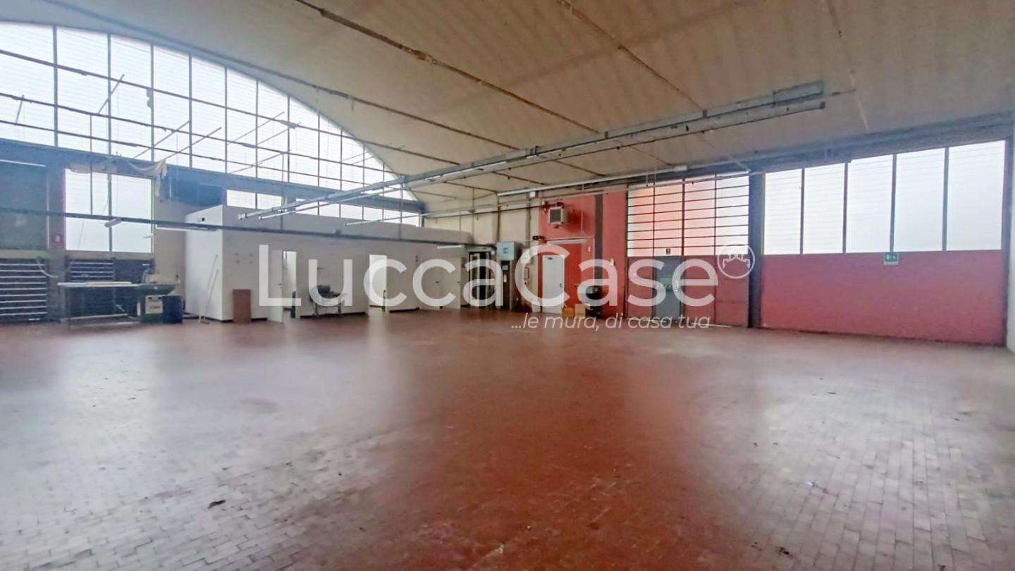  - foto 7
