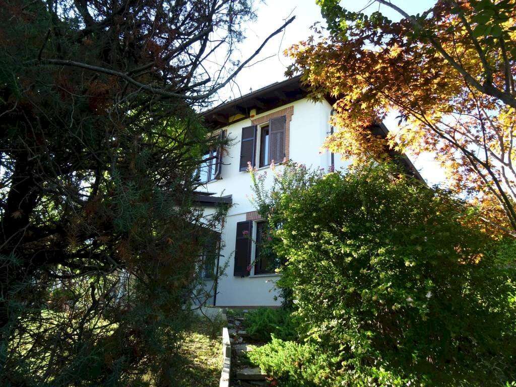  - foto 13
