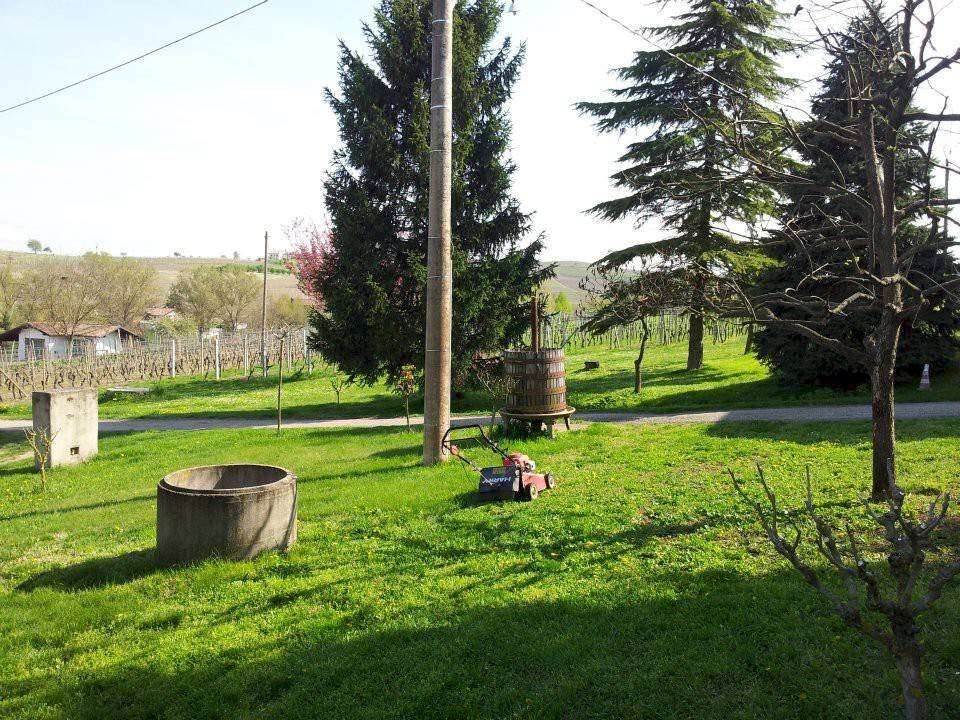 - foto 13