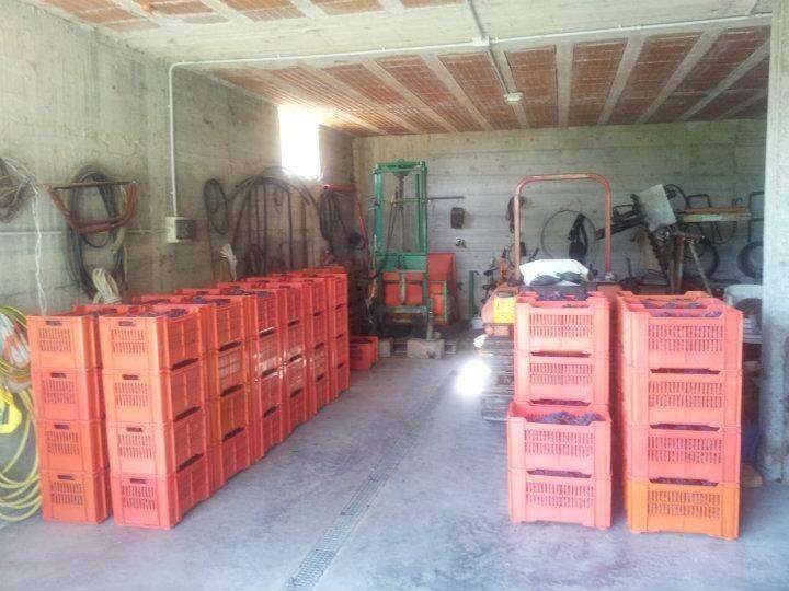  - foto 14
