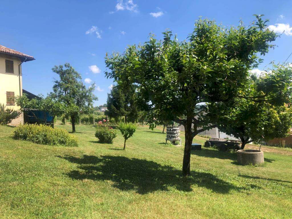  - foto 26