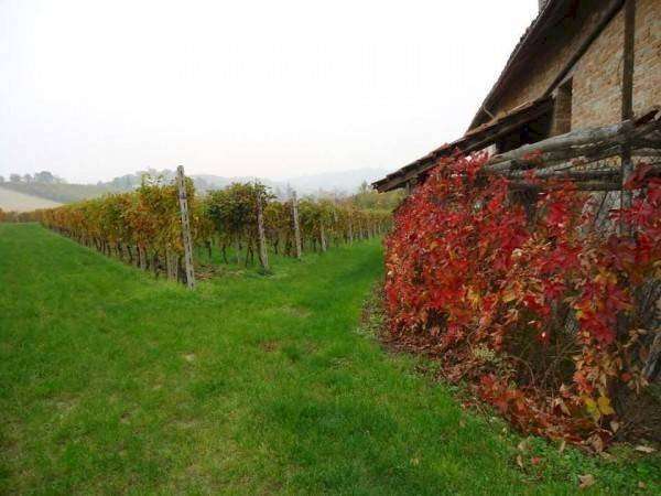  - foto 31