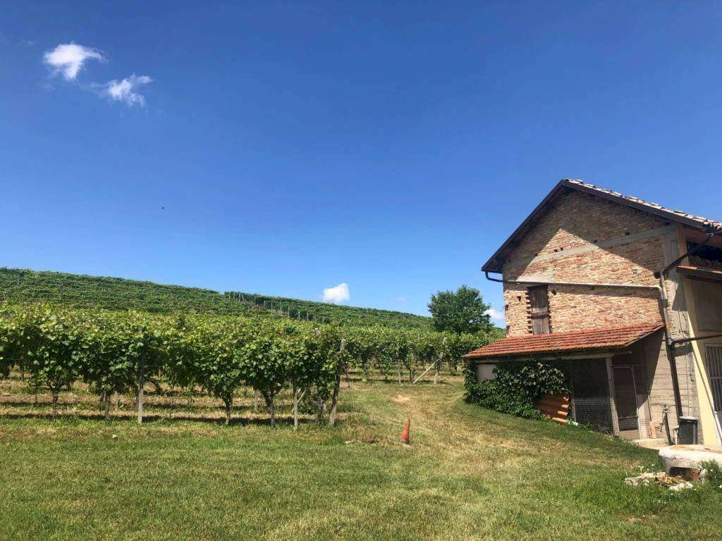  - foto 35