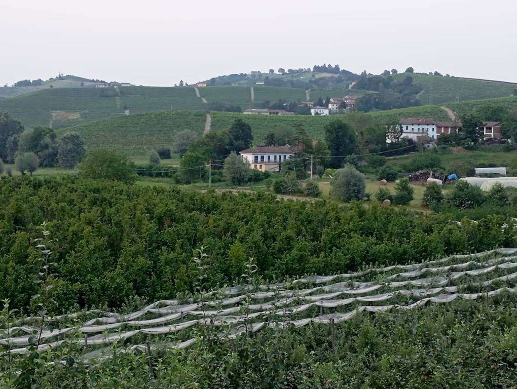  - foto 37