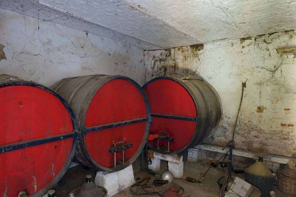  - foto 21