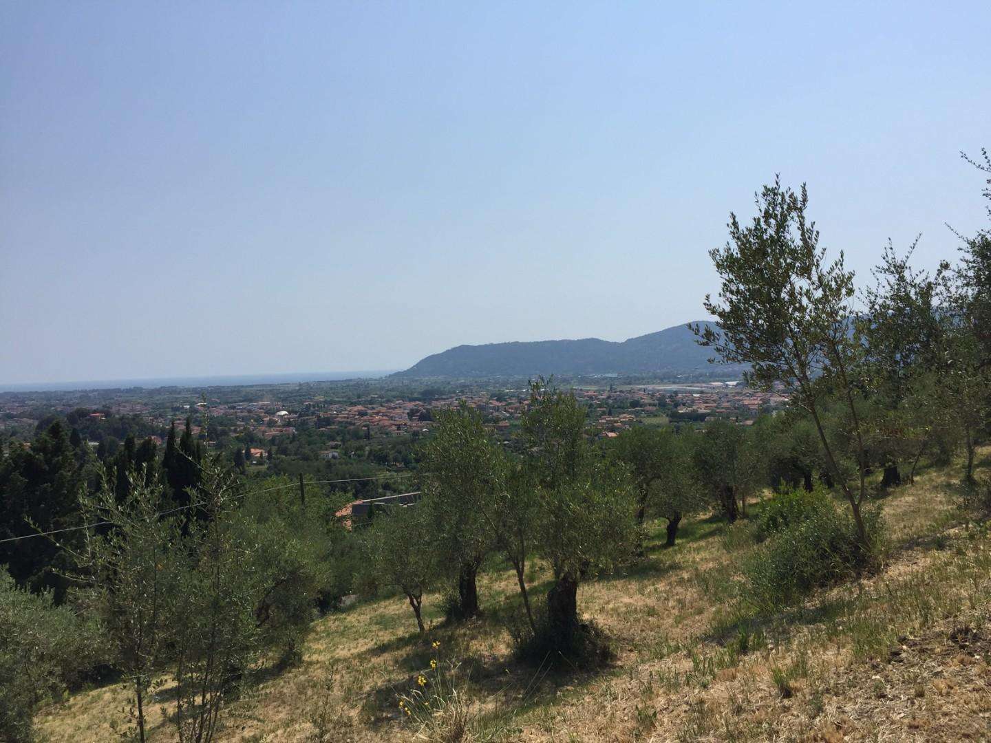  - foto 10