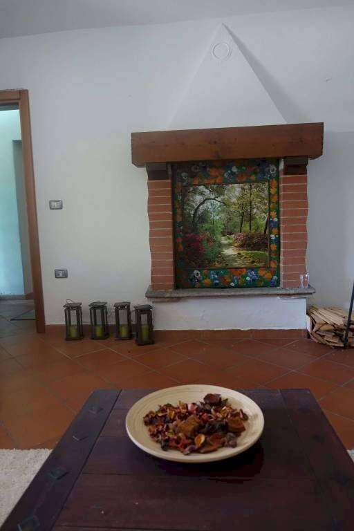  - foto 36