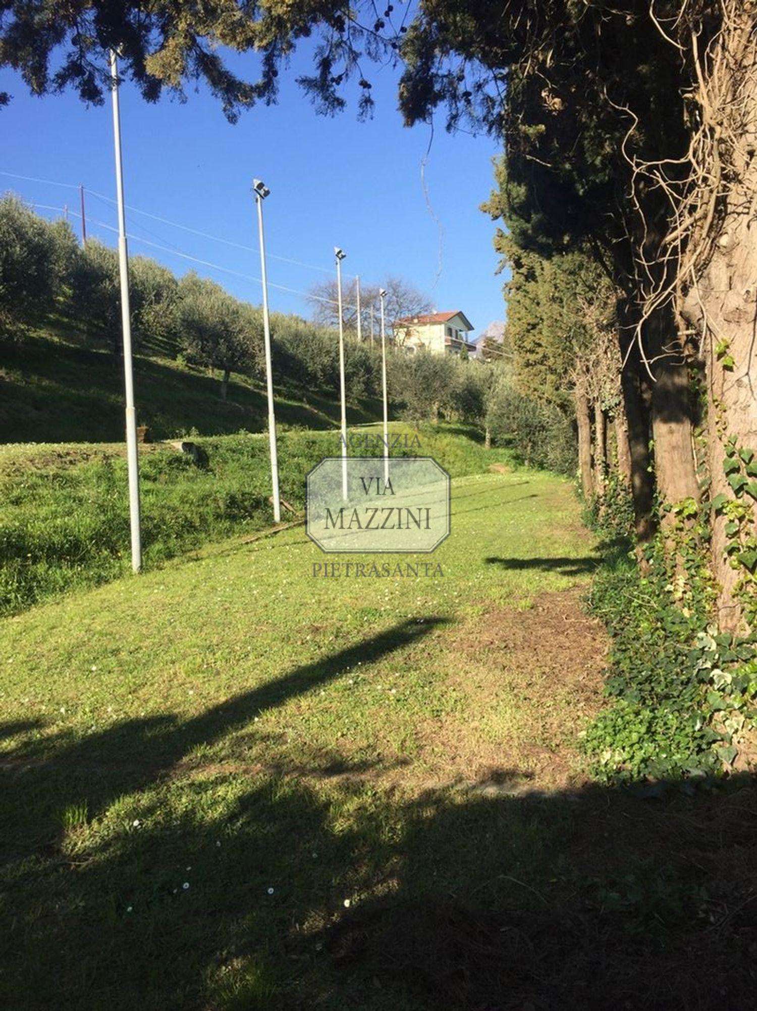  - foto 13