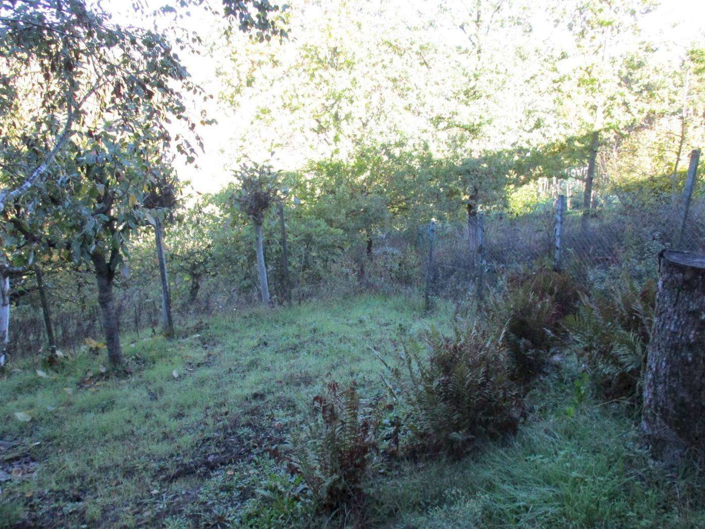  - foto 18