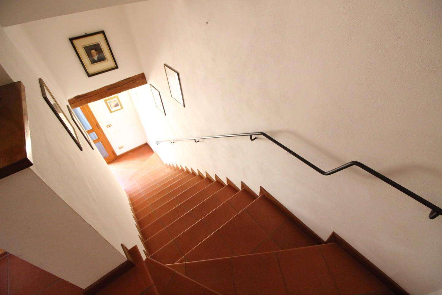  - foto 12