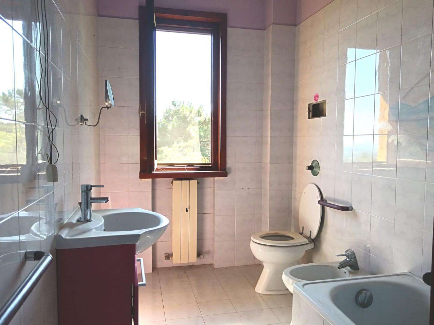  - foto 12