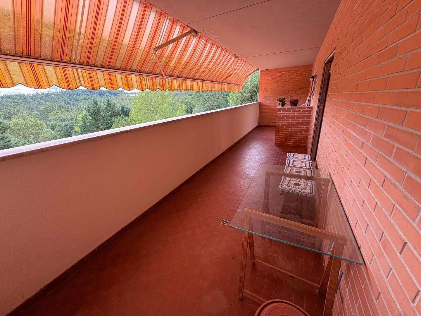 - foto 14