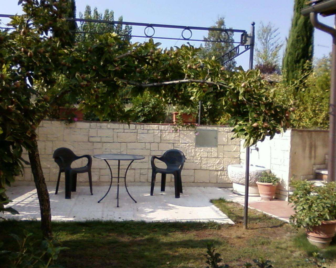  - foto 13