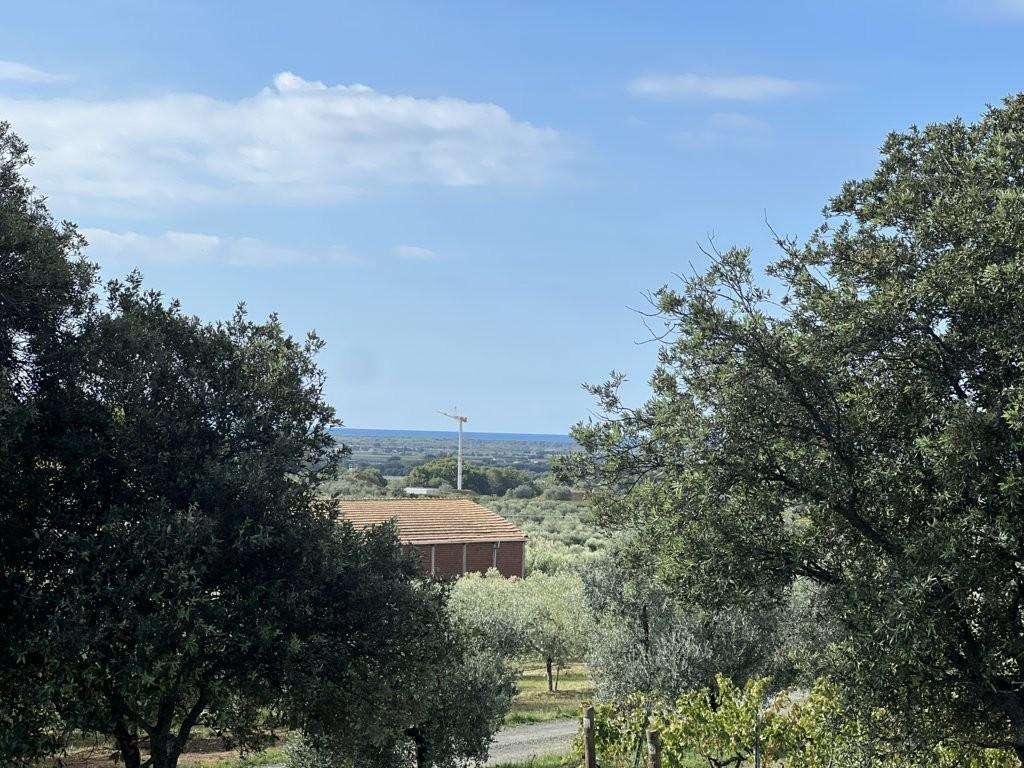  - foto 7