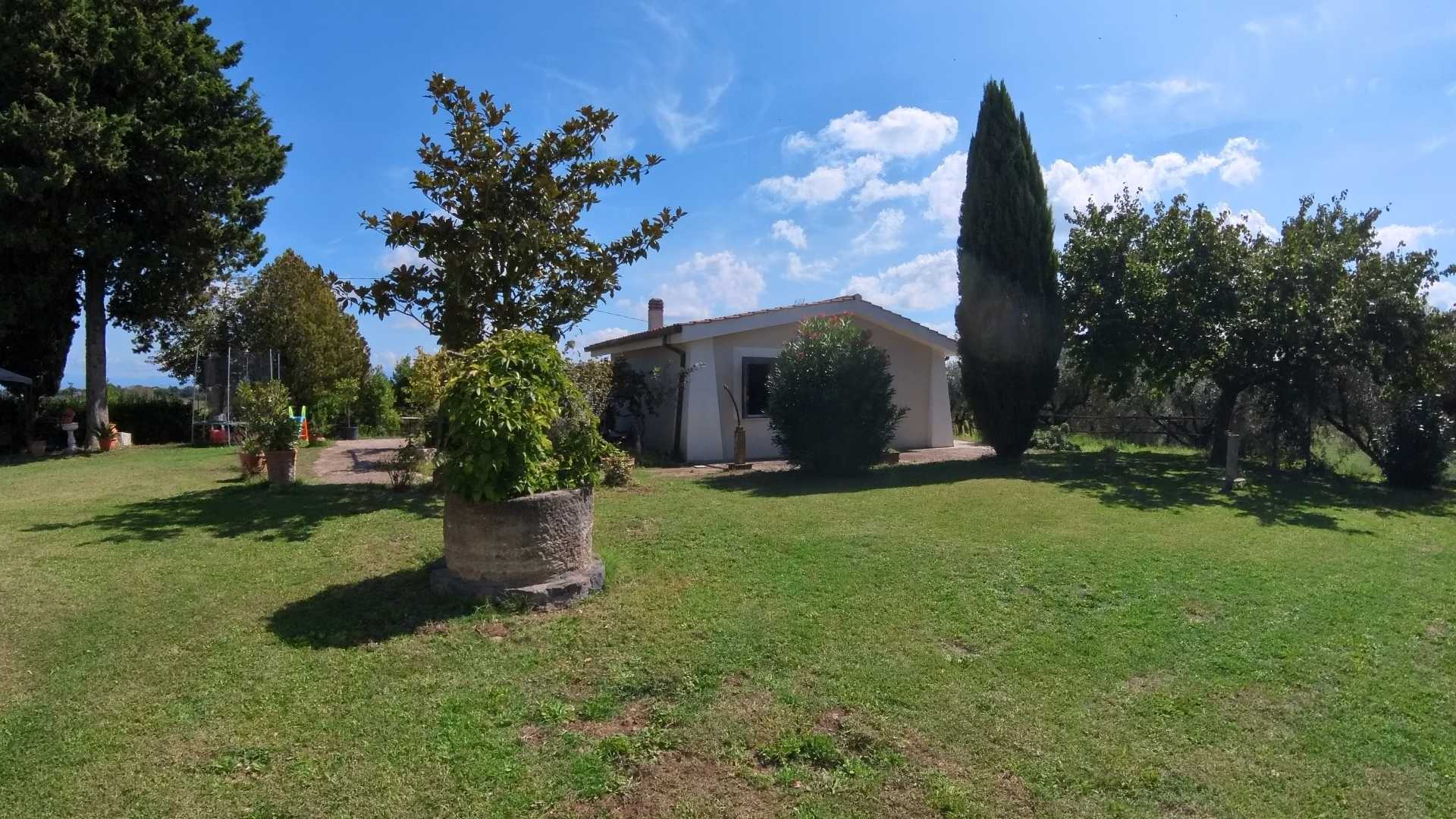  - foto 57