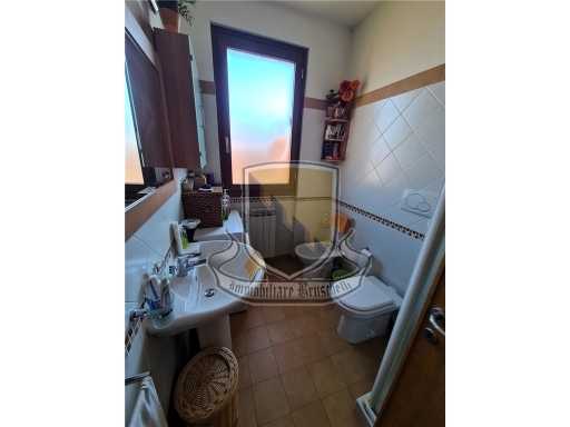  - foto 17